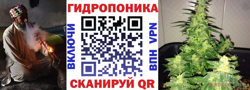 дарнет шоп  Советский  Конопля OG Kush 
